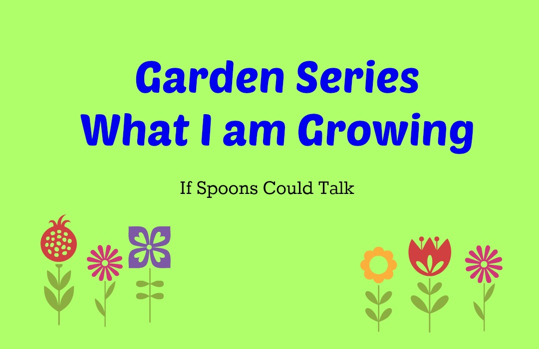 Garden Series. Check out the herbs that I am growing and my plans for the near future.